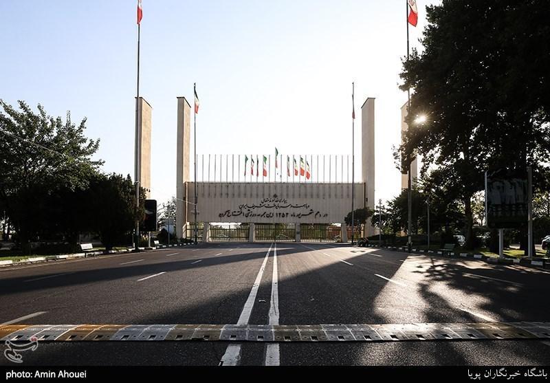 پاک کردن صورت مسئله به جای حل مسئله، داربست هایی که از تیر چراغ برق به درخت وصل شدند