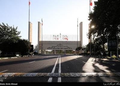 پاک کردن صورت مسئله به جای حل مسئله، داربست هایی که از تیر چراغ برق به درخت وصل شدند