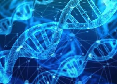 محققان با الهام از DNA قطعه ای برای صنعت الکترونیک ساختند