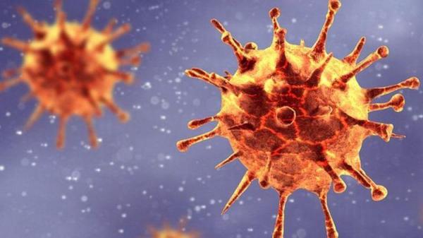 پیدا شدن گونه جدید ویروس کرونا چقدر نگران کننده است؟