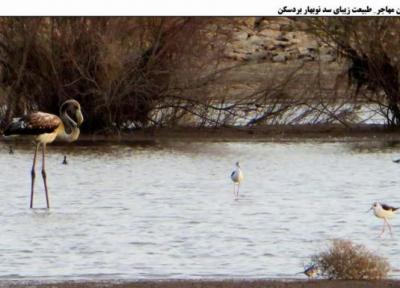 ایجاد یک میکرو کلیمای طبیعی و زیست محیطی در بند خاکی نوبهار بردسکن