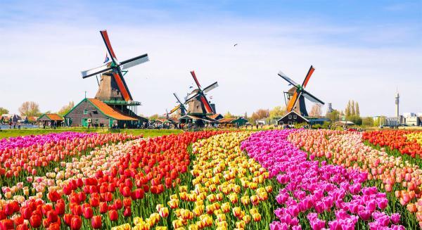 تور هلند ارزان: بهترین جاذبه های گردشگری هلند - بخش دوم