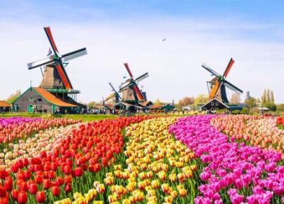 تور هلند ارزان: بهترین جاذبه های گردشگری هلند - بخش دوم